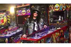 ガンズ ＆ ローゼズ ピンボールマシン絵ガラス ガンズ ＆ ローゼズ