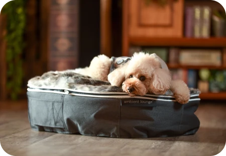 ペットラウンジ - 創ったのは､最高の家族の最高の居場所 |【公式