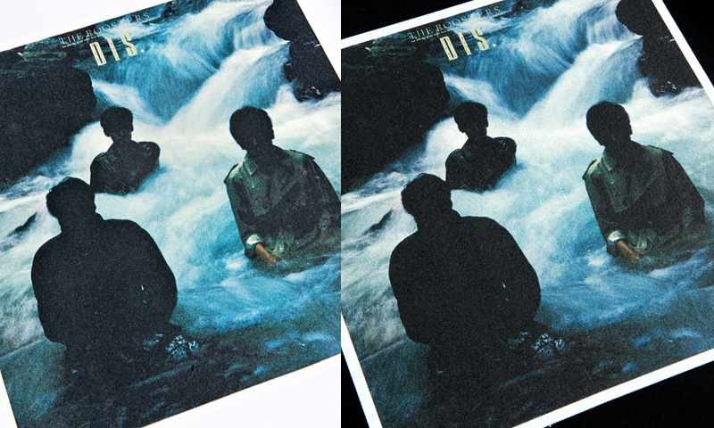 VINYL “THE ROOSTERS” TEE DIS. | Amplifierオフィシャルサイト