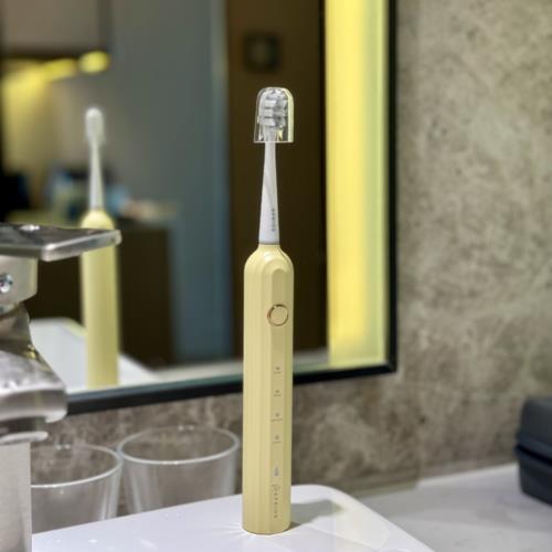 フィリップス(PHILIPS) HX9601/11 シルバー エキスパートクリーン 電動