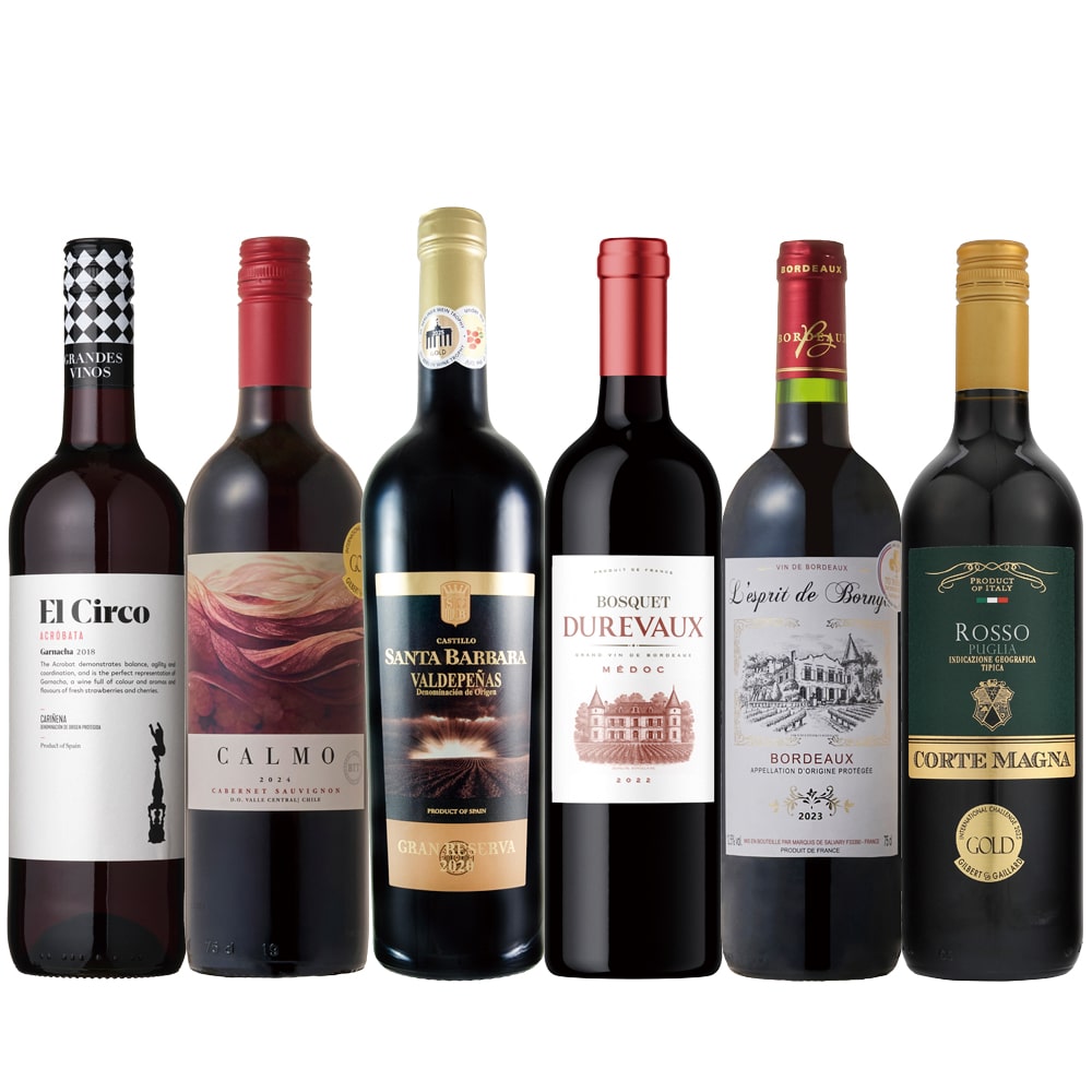 ALL金賞受賞 世界の赤ワイン6本セット【FD】