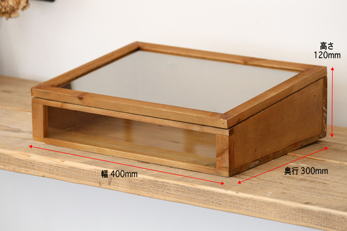 収納ケース】ラスティパイン・ガラスケース L