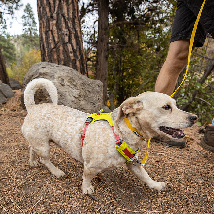 RUFFWEAR｜ラフウェア【ハイ＆ライトハーネス】 – and-g