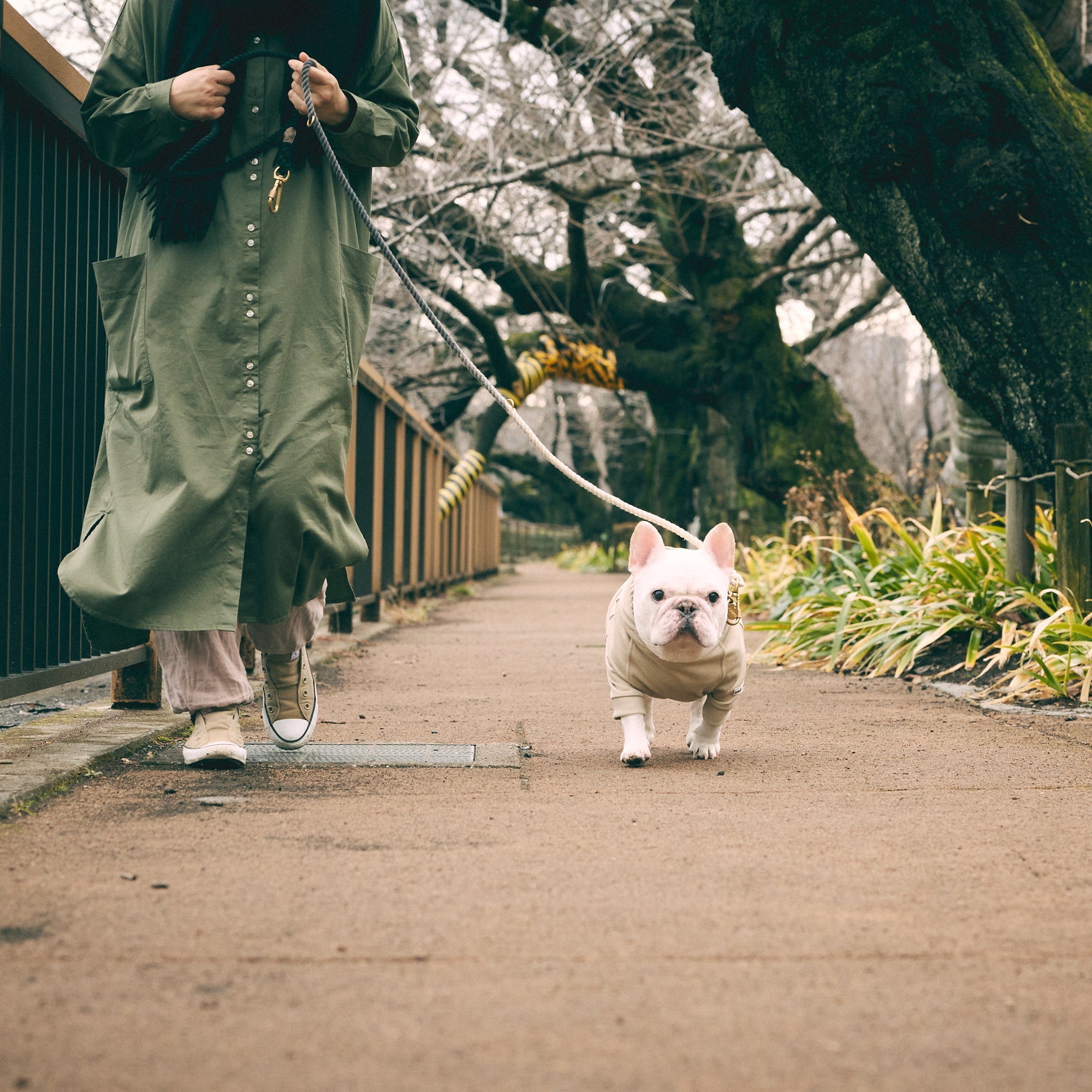フレンチブルドッグ・ブルドッグの洋服通販の専門店 | andCharlie