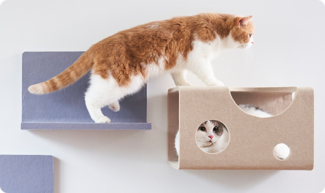 リクシル(LIXIL)のキャットウォール「猫壁（にゃんぺき）」Makuake