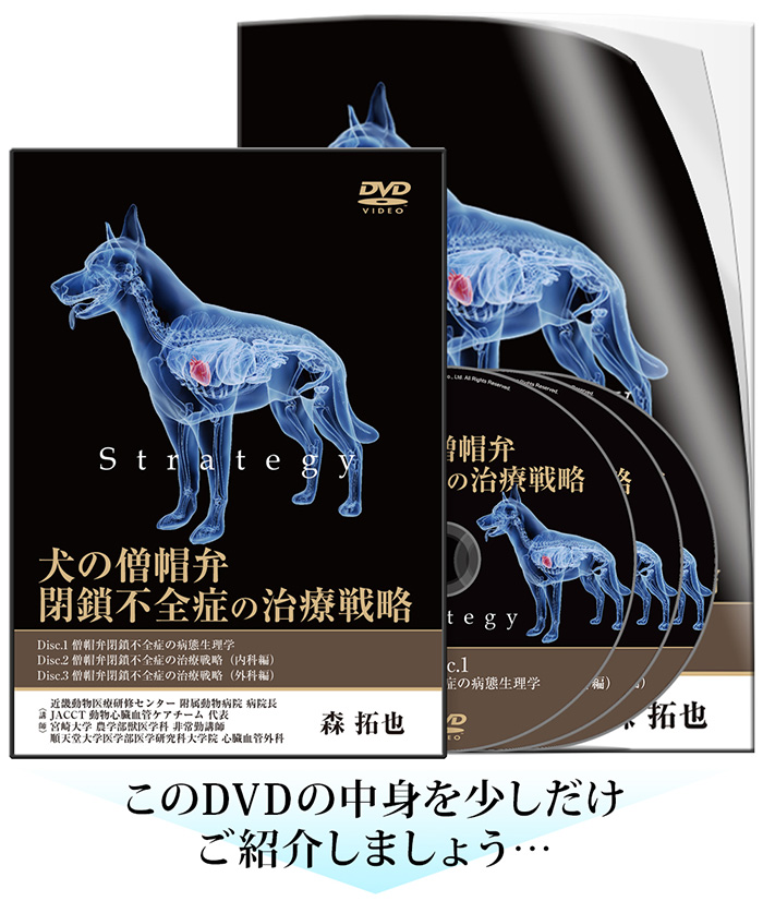 犬の僧帽弁閉鎖不全症の治療戦略 | 株式会社 医療情報研究所