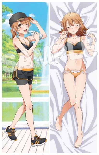 再販品】プレミアム仕様 抱き枕カバー 一色いろは メイドver. やはり俺