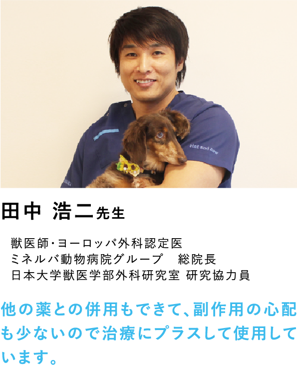 アニミューン®｜フアイア抽出 糖鎖TPG-1配合 動物医療機関専用品｜HACHI