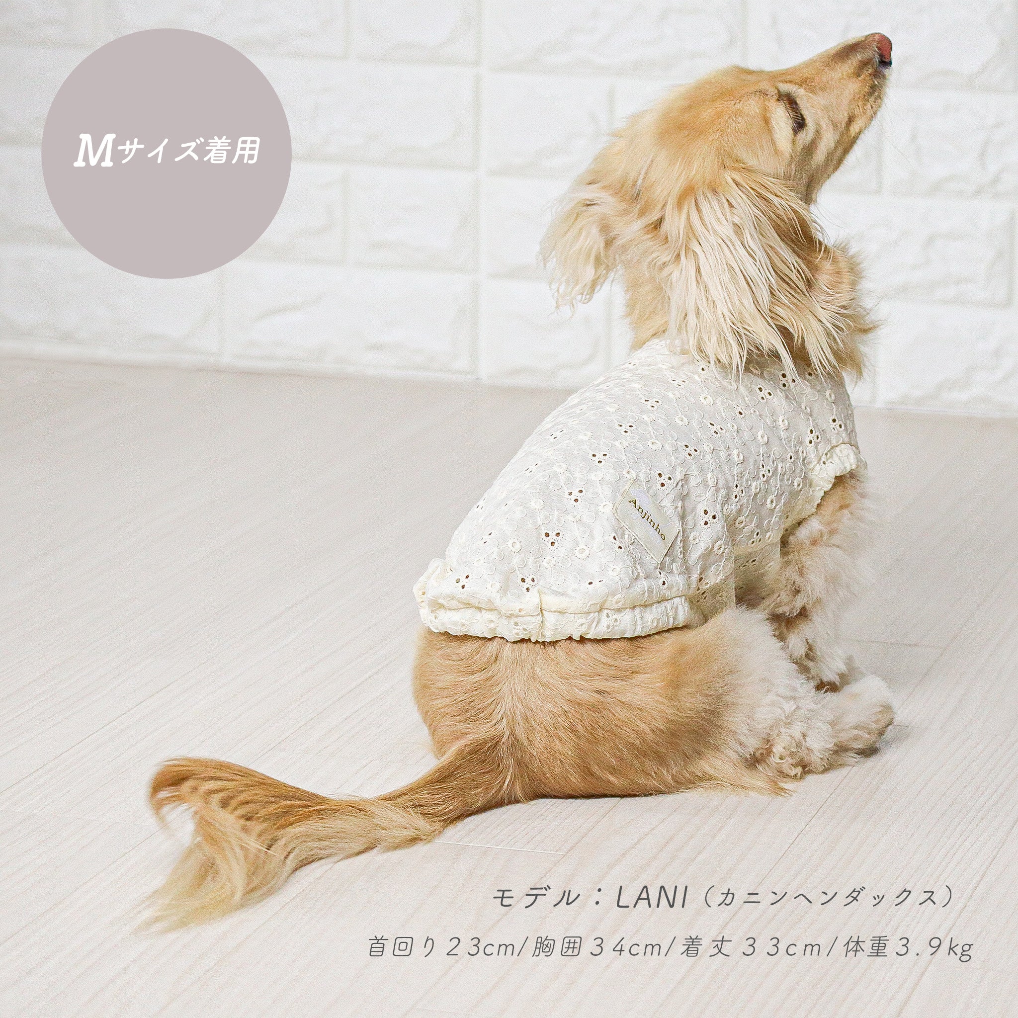 Anjinho公式】シャビーカラーオーバルライトトップス｜ダックスフンド