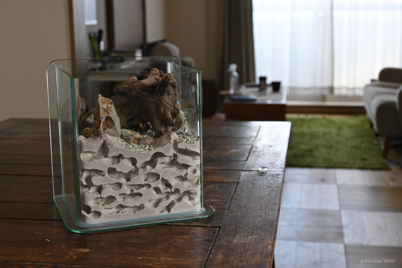 アリの巣飼育ケースを自作！百円均一の材料で作成する方法【石膏巣