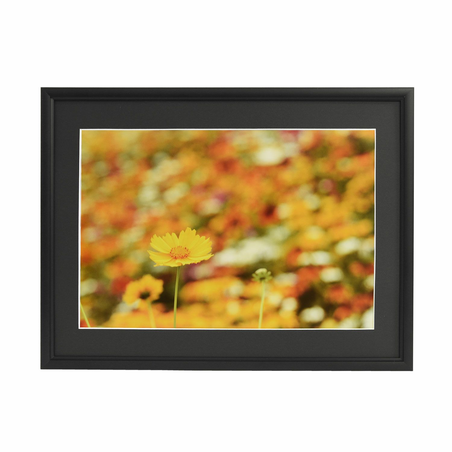 000000001583-01-l.jpg?t=