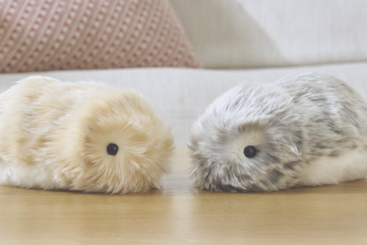 ASCII.jp：カシオ、もふもふロボット「モフリン」5万9400円から