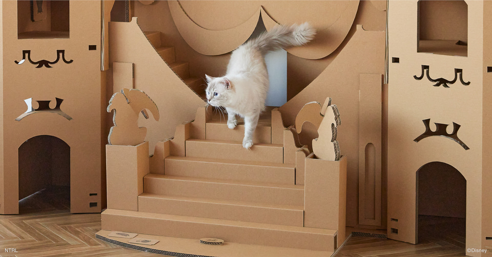 にゃん（段）ボール製のお城がどどんっ！ ディズニー3作品のお城や丘が