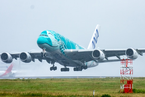 07/21エアバスa380 フライングホヌ／1/150約50cm ホヌちゃんお