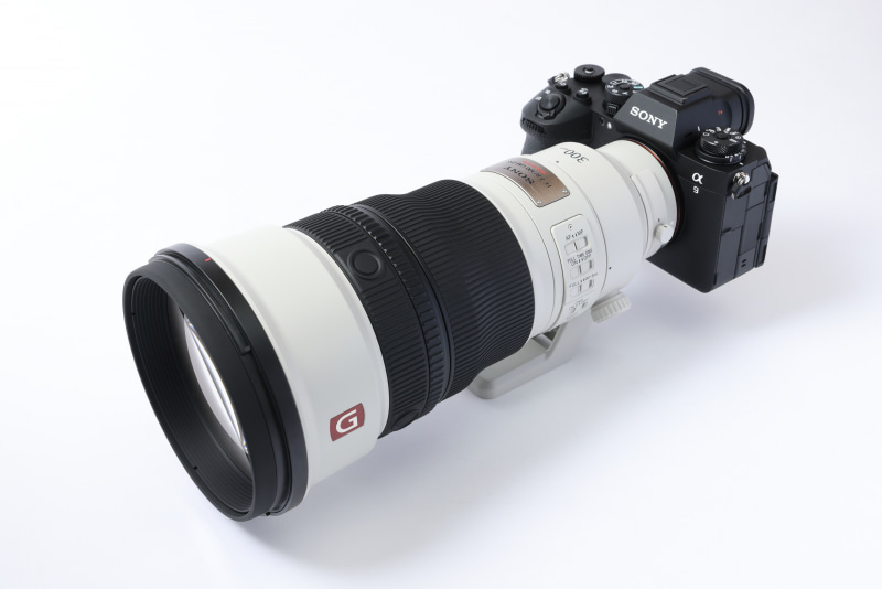 Sony 300mm F2.8 G + テレコンバーター + マウントアダプター Sony