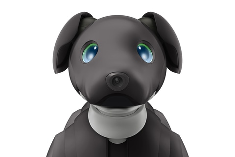 ソニー、ペットロボット「aibo」の新色・エスプレッソエディションを