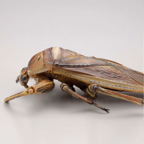 ヤゴを捉えた瞬間も再現可能！ 海洋堂が手掛ける「タガメ」の