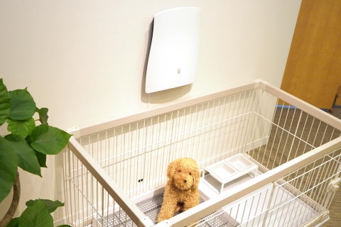 サンスターから壁掛け脱臭機。ペットのトイレ臭に着目 - 家電 Watch
