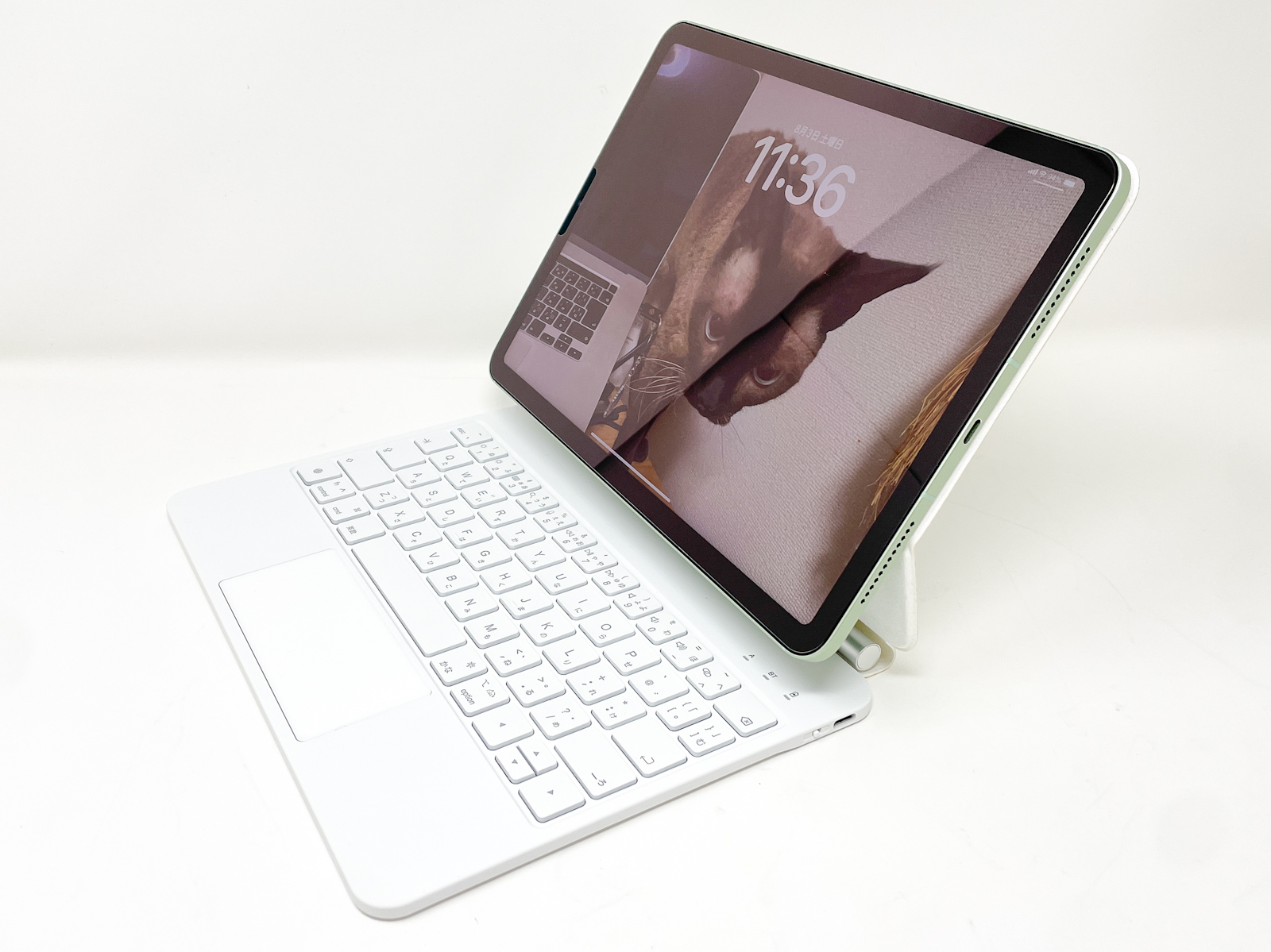 ショップ 【英語 US】iPad Pro(M4)11インチ用 Magic Keyboard Magic