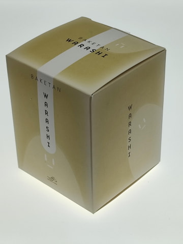 霊界コミュニケーションロボット”「BAKETAN WARASHI」を手に入れた夜