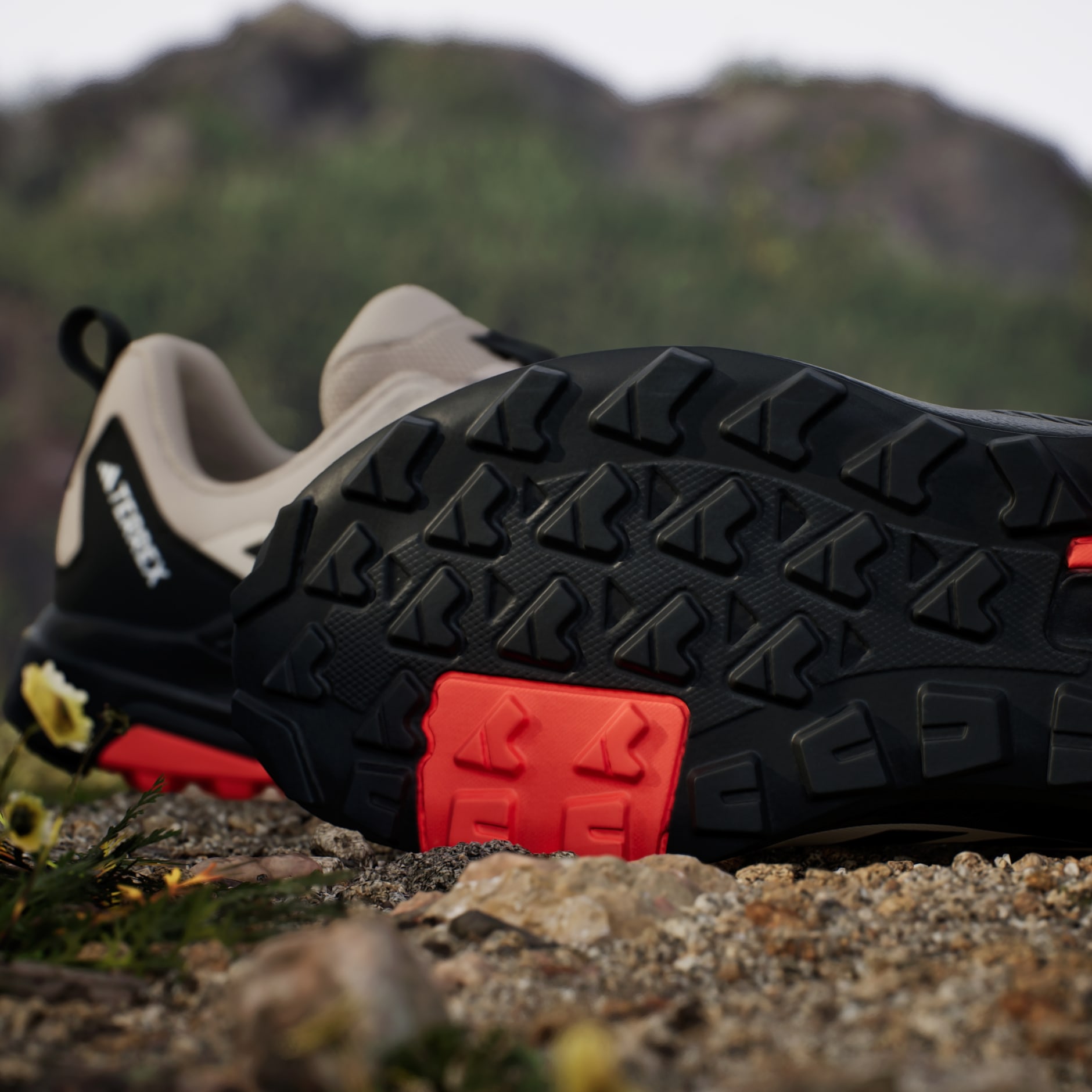 Tenis de Senderismo Terrex Anylander