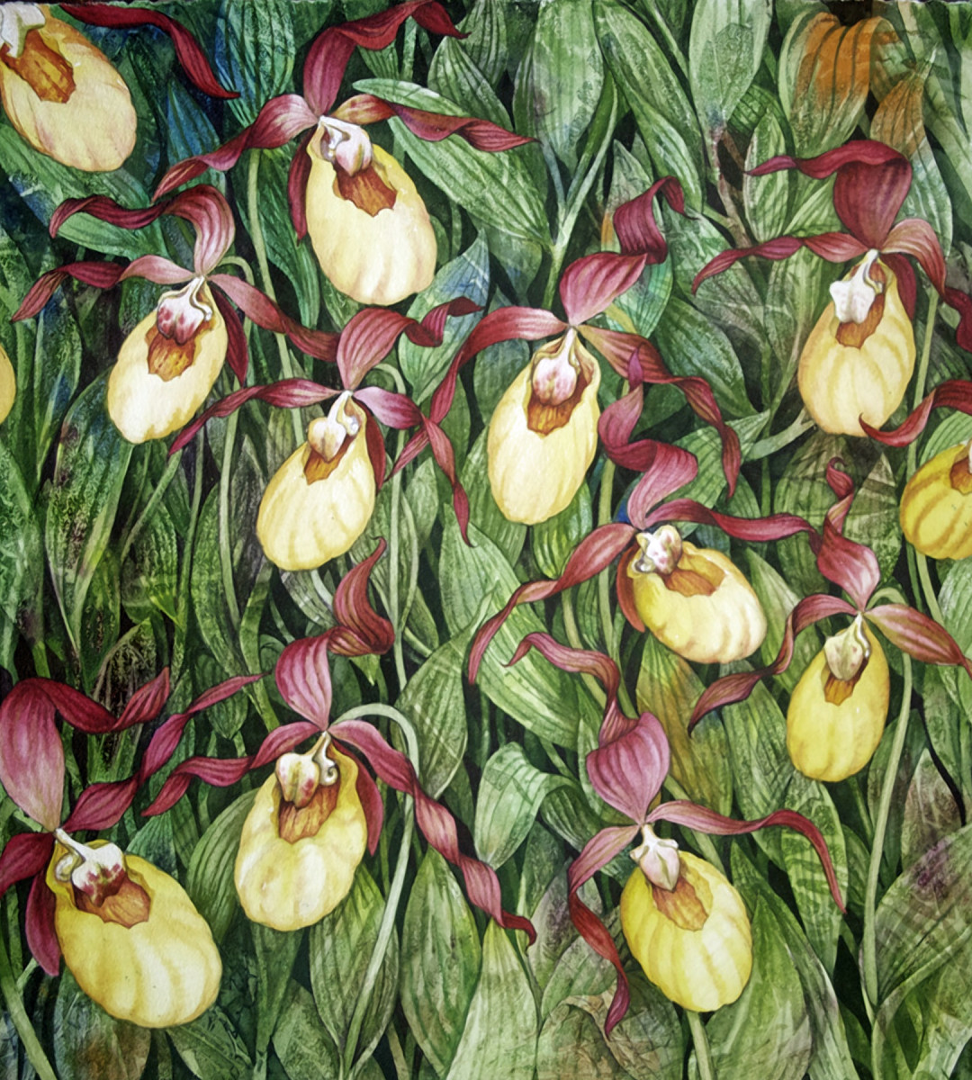 Helen Willshire パステル画 鳥 1993年 Helen Willshire パステル画 鳥