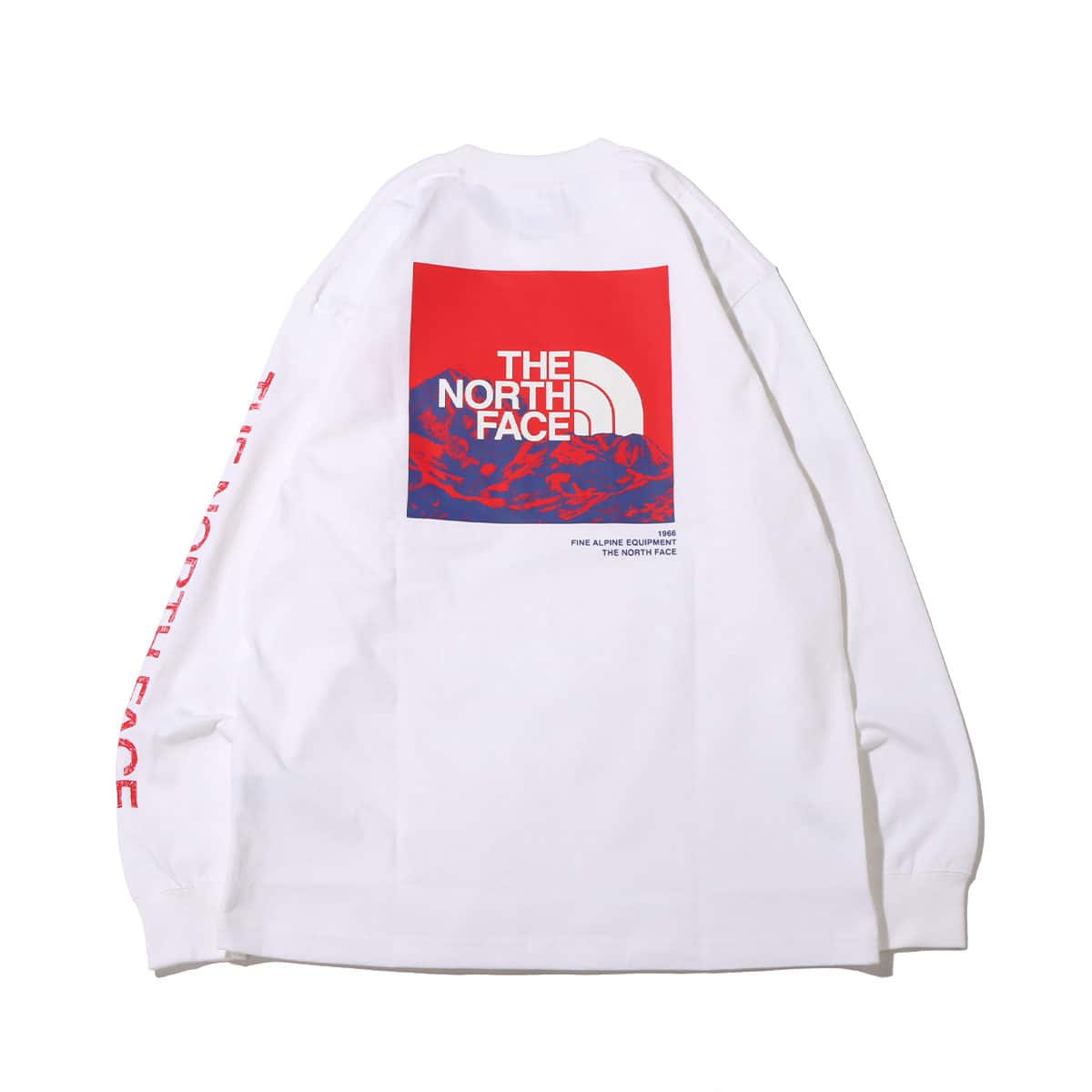 THE NORTH FACE L/S SLEEVE GRAPHIC TEE WHITE 22SS-I（ザ ノース