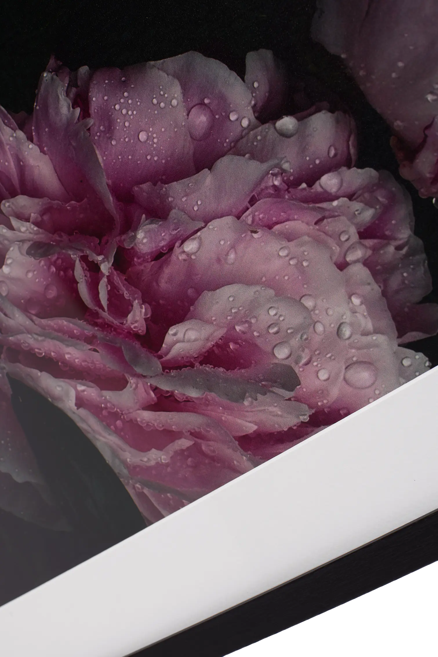 Bo Concept｜ガラスアート ギャラリーグラスアート 「Forest」 Bo