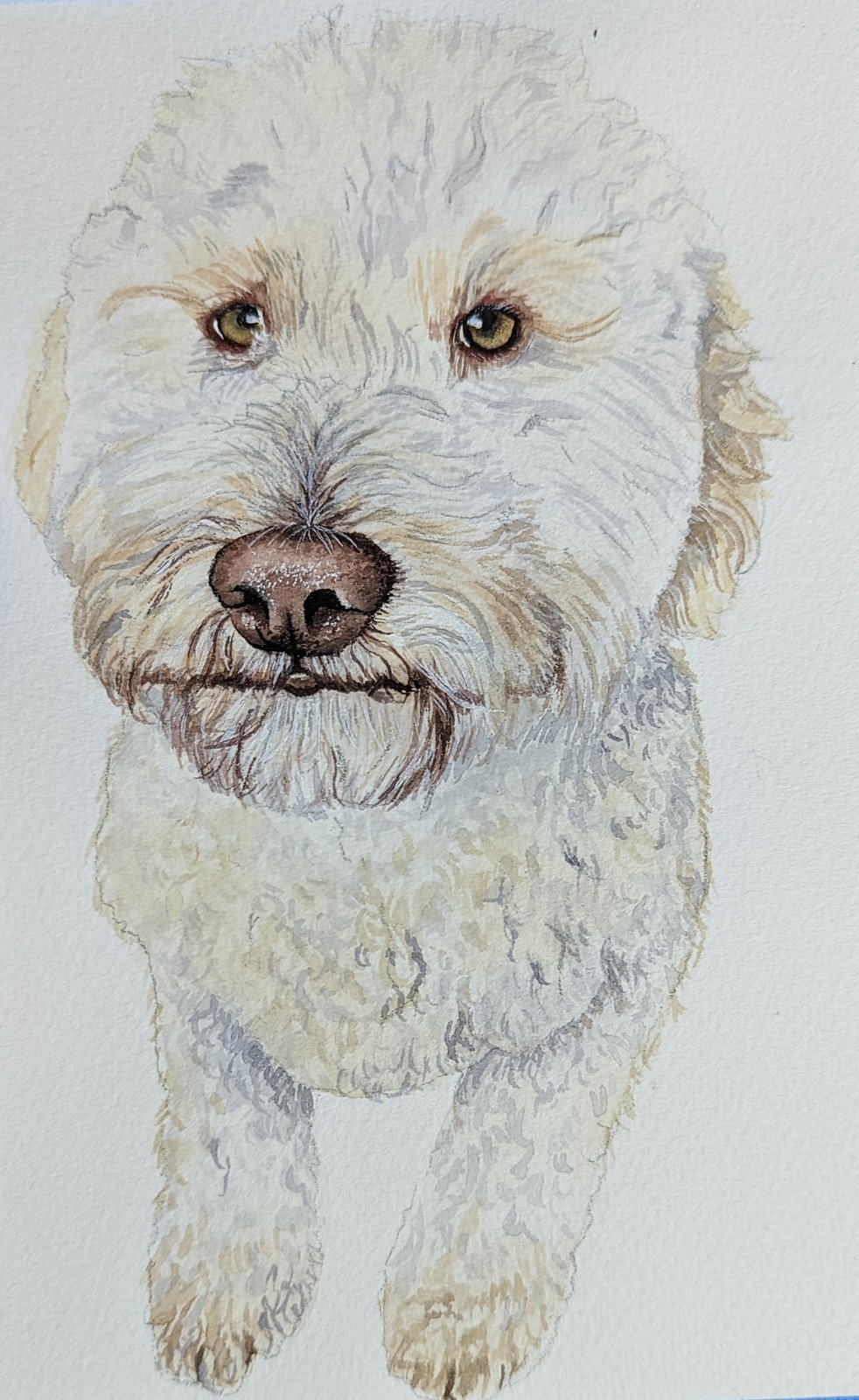 Pet Portaits | Blue Ginger Design