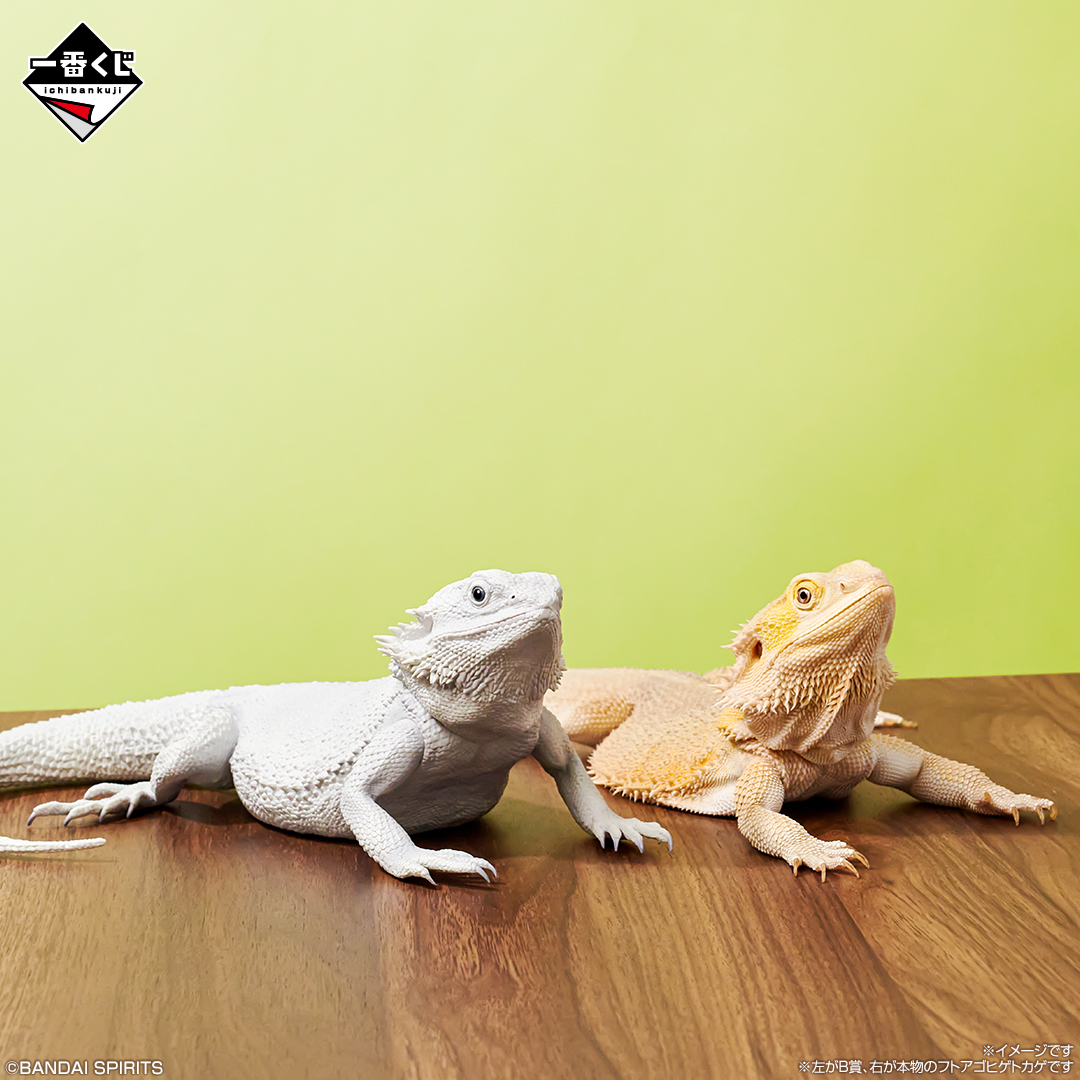 一番くじ 爬虫類＆両生類～Tiny Friends～vol.2｜一番くじ倶楽部