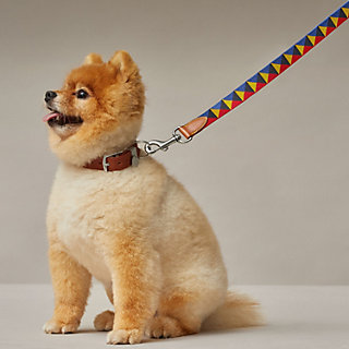 Medor dog leash | Hermès USA