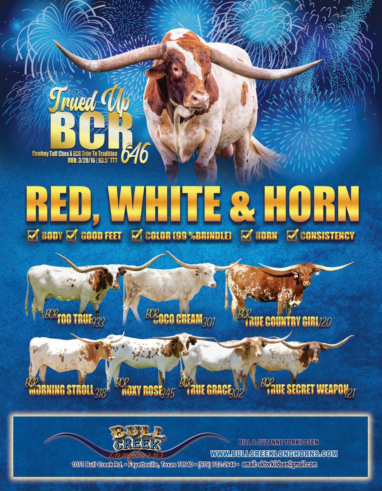 July 2025 Texas Longhorn Trails Magazine by Texas Longhorn Trails