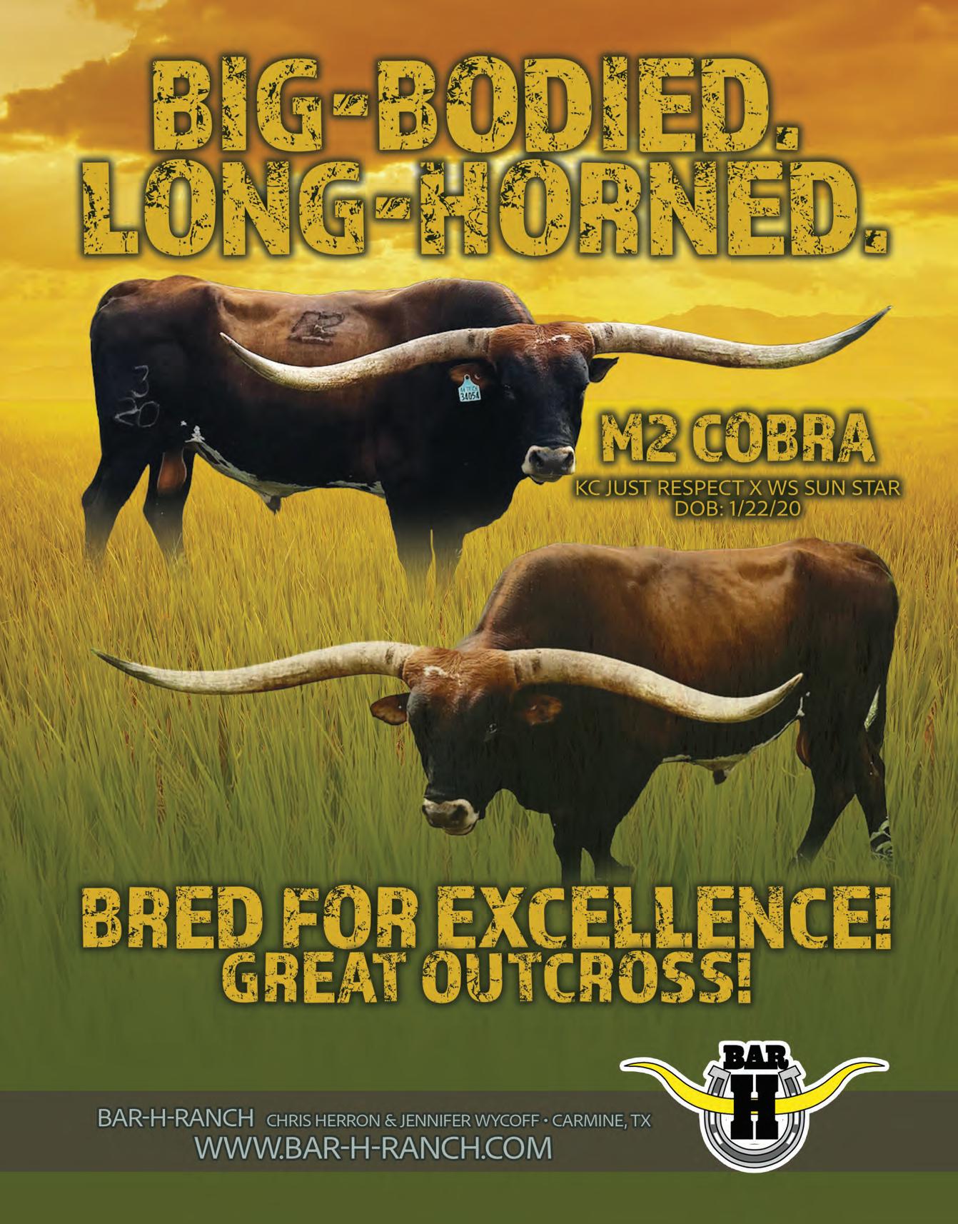 July 2025 Texas Longhorn Trails Magazine by Texas Longhorn Trails