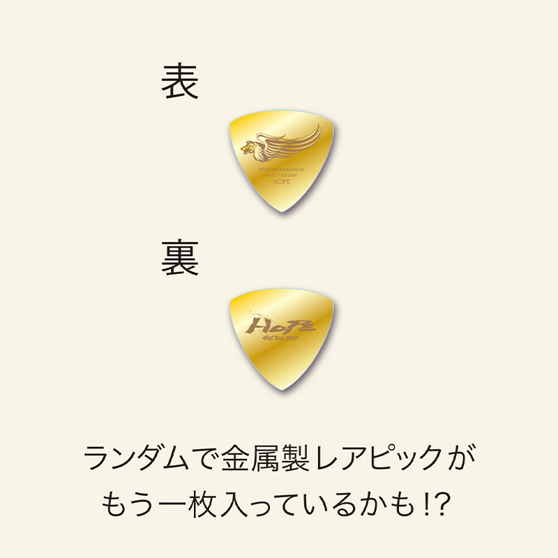 The BONEZ TSUYOSHI ピック 超希少 straight up THE BONEZ TSUYOSHI ピック