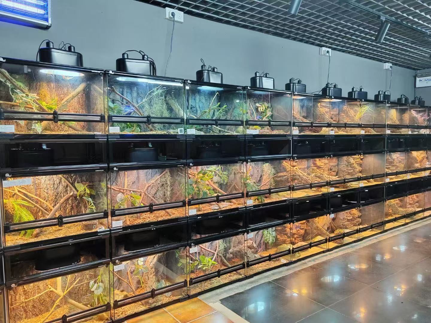 爬虫類両生類飼育ケージ、組み立て式 ガラス飼育ケージ60x30x30cm 引