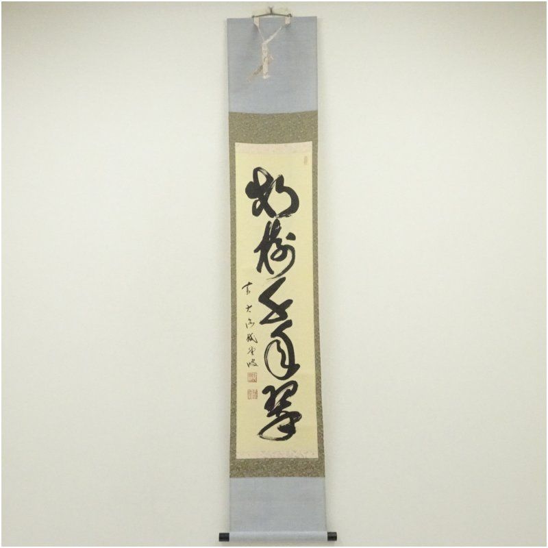 5507676: 前大徳藤井誡堂筆 「春到花自開」一行書 肉筆紙本掛軸（共箱）