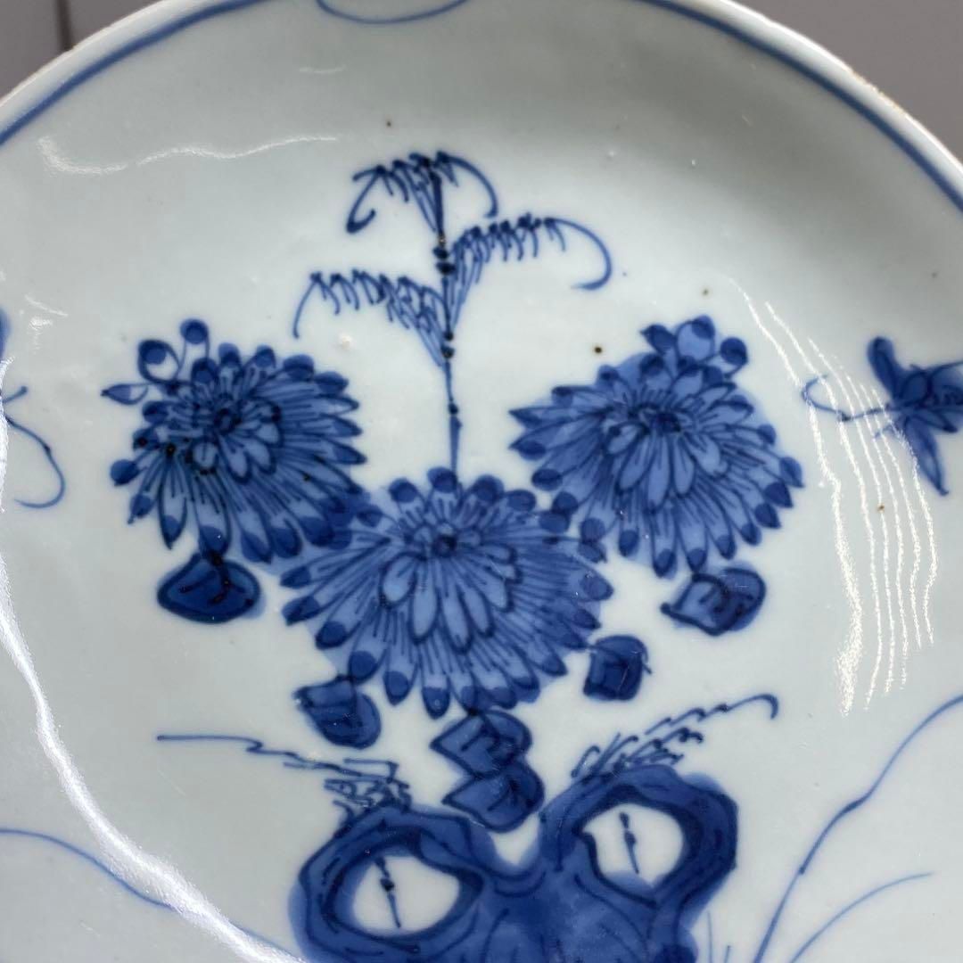 中国明時代 古染付上手菊図皿5枚 木箱付 約15.5㎝ 東Y7-0116☆2F 中国