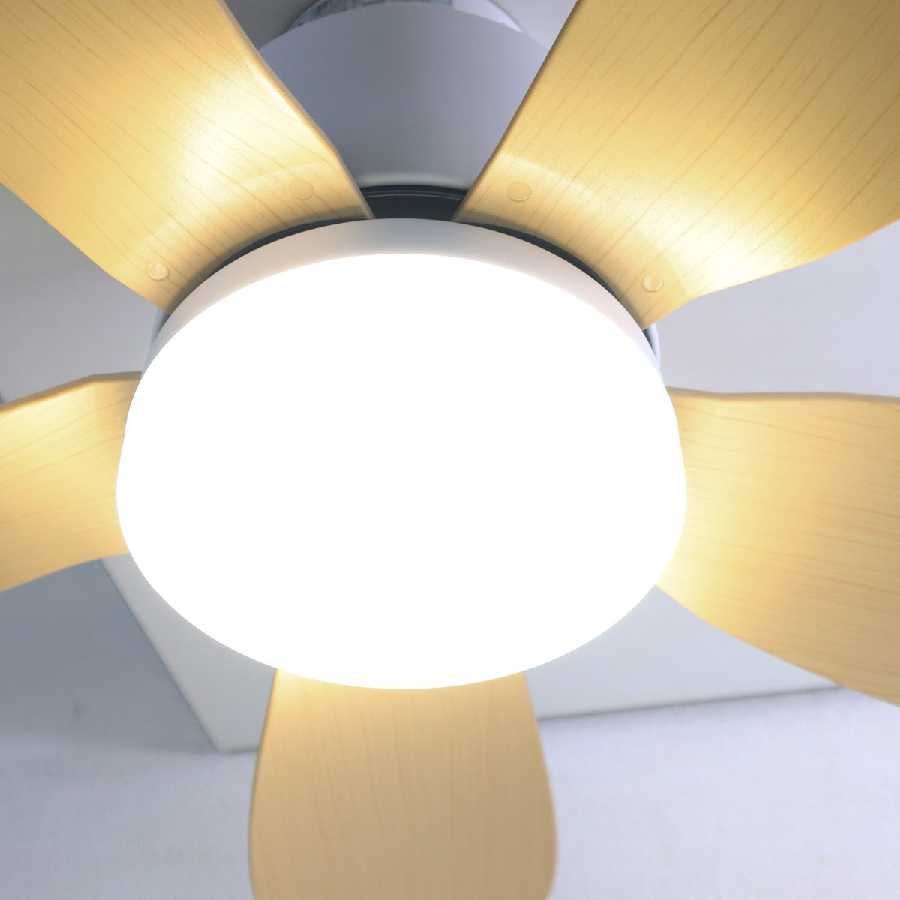 フォリア シーリングファンライト vo410579 5枚羽 2024年製 展示品