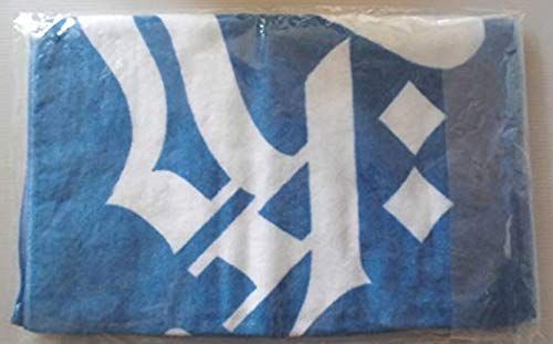 氷室京介 2008年ツアーグッズ11点セット 氷室京介 KYOSUKE HIMURO 20th