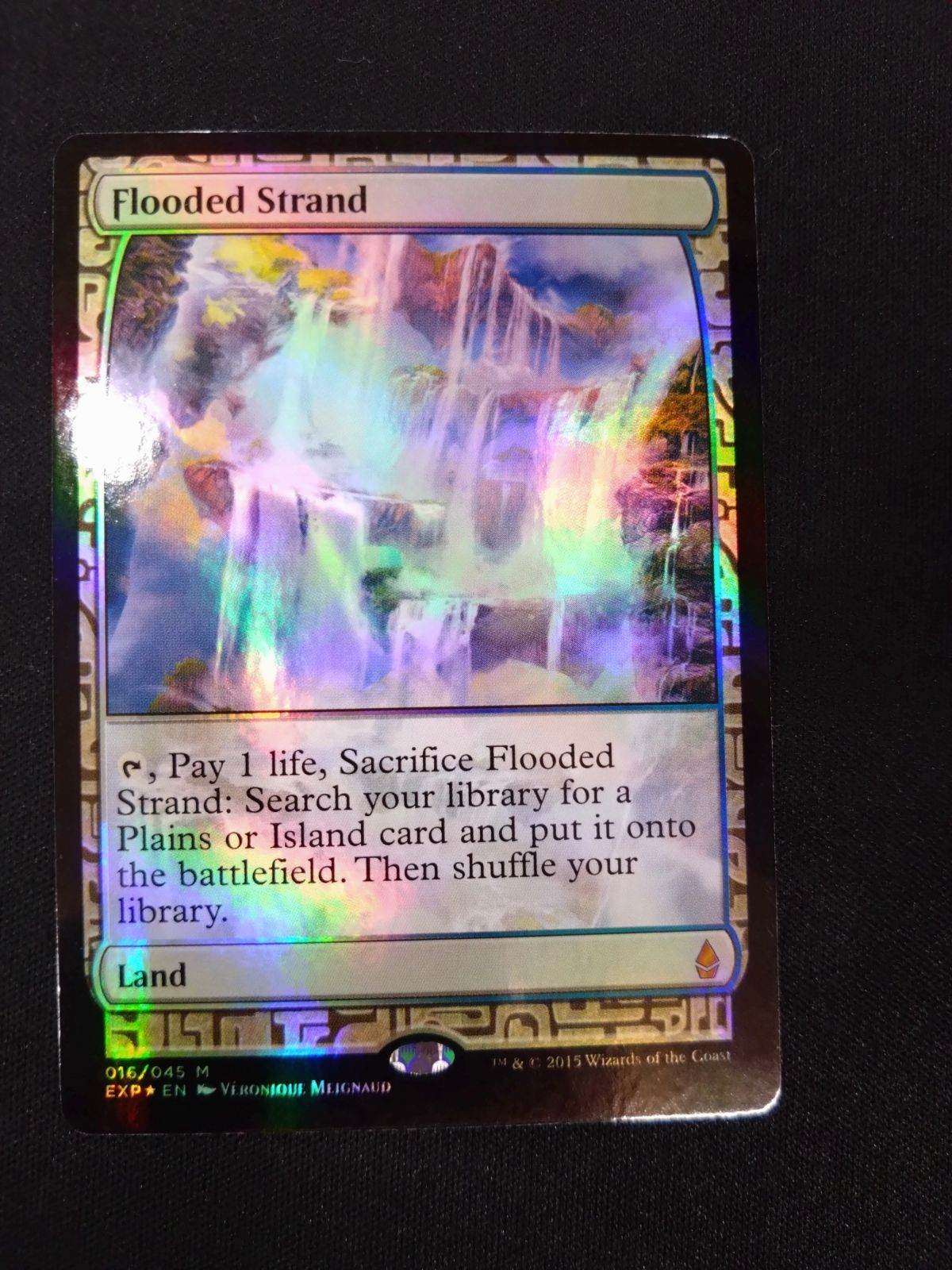 MTG 溢れかえる岸辺 foil EXP mtg 溢れかえる岸辺 exp foil その2