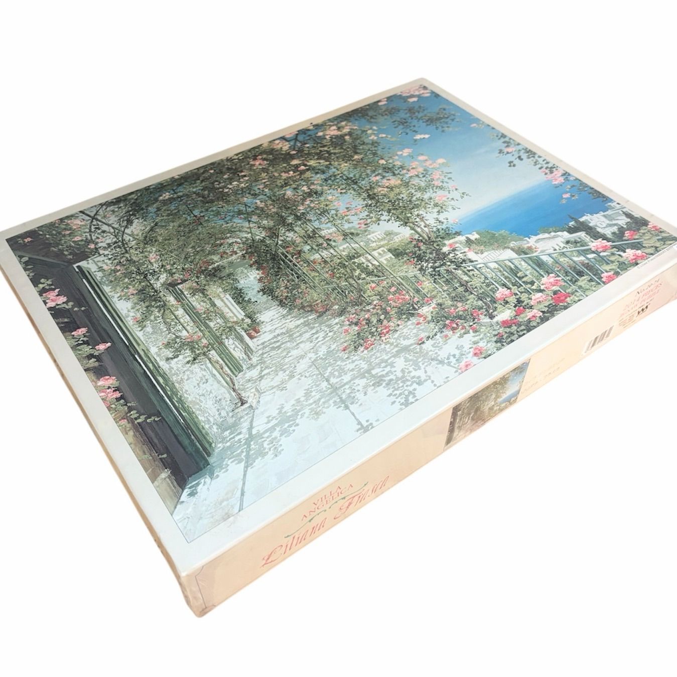 リリアナ・フラスカ ヴィラ・アンジェリカ 2014 ジグソーパズル レトロ