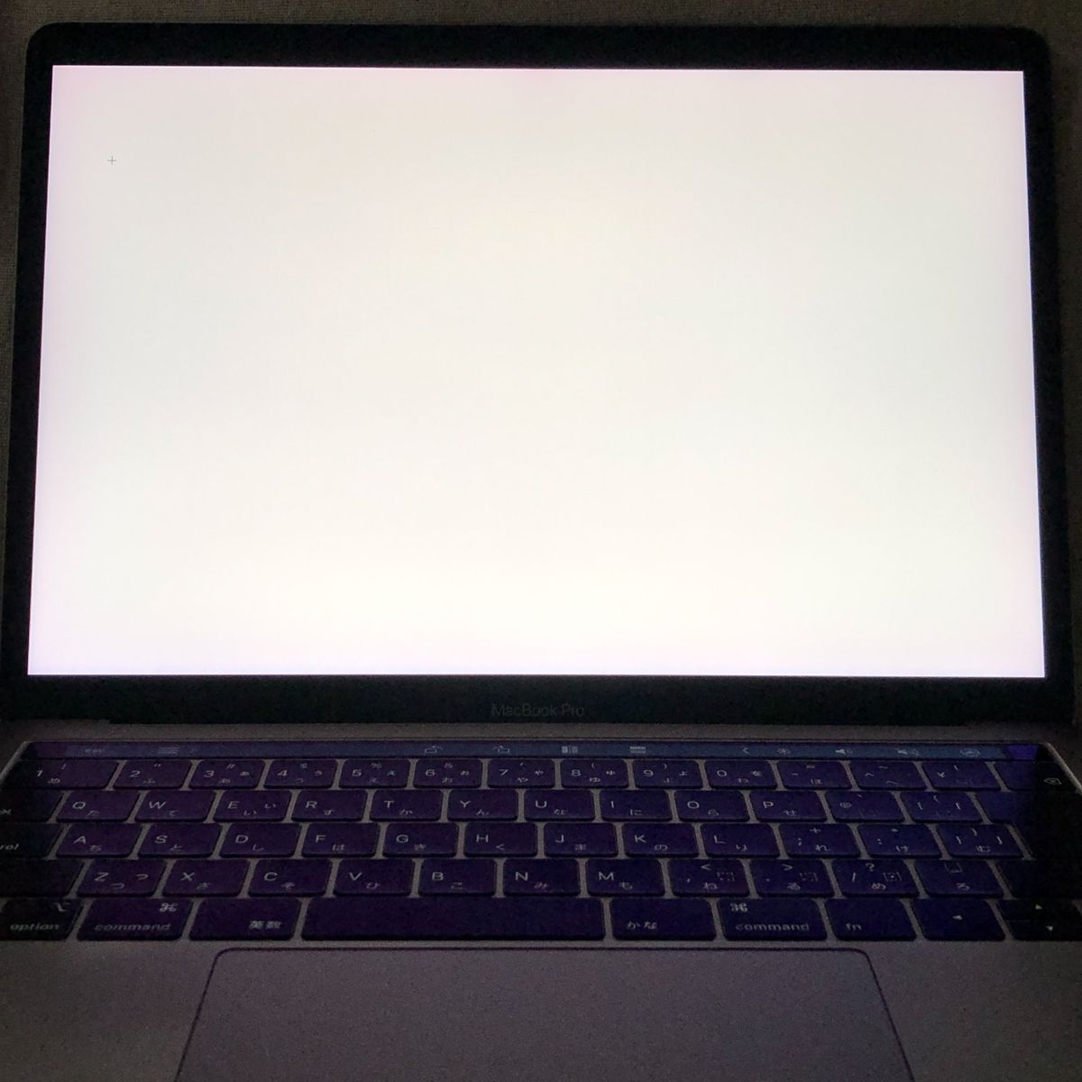 ジャンク MacBook Pro 13-inch 2016 1TB SSD ジャンク MacBook Pro 13