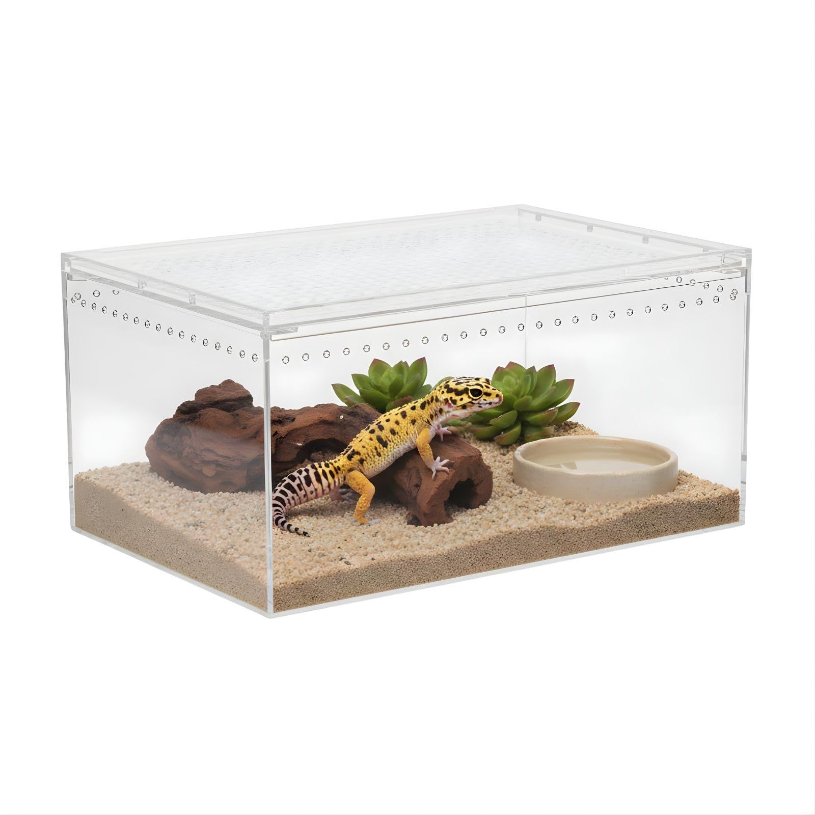SESHIS 爬虫類 ケージ ボックス 飼育 ケース アクリル 透明 30x20x15cm