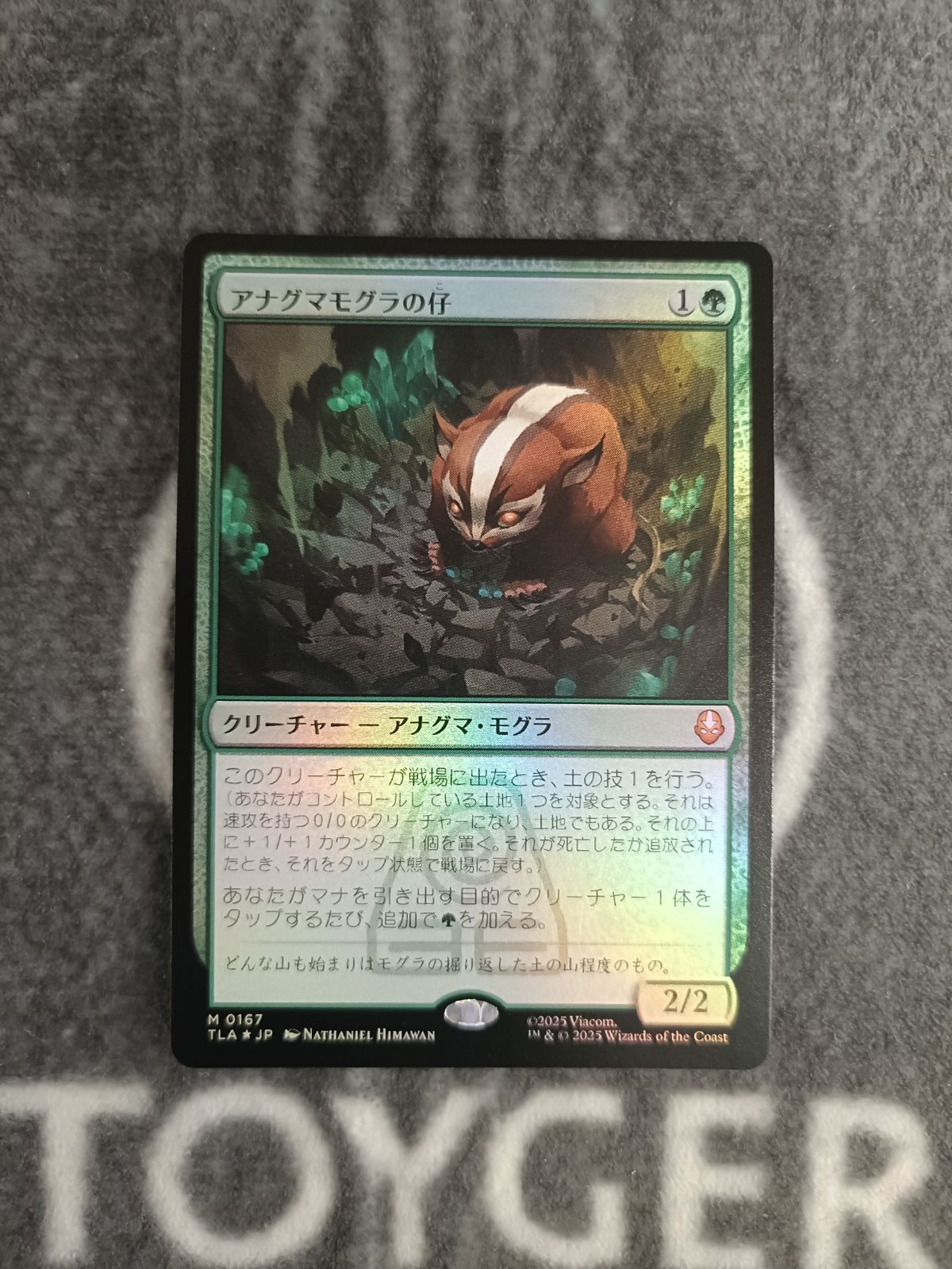 アナグマモグラの仔 1枚 日)アナグマモグラの仔 / Badgermole Cub【TLA