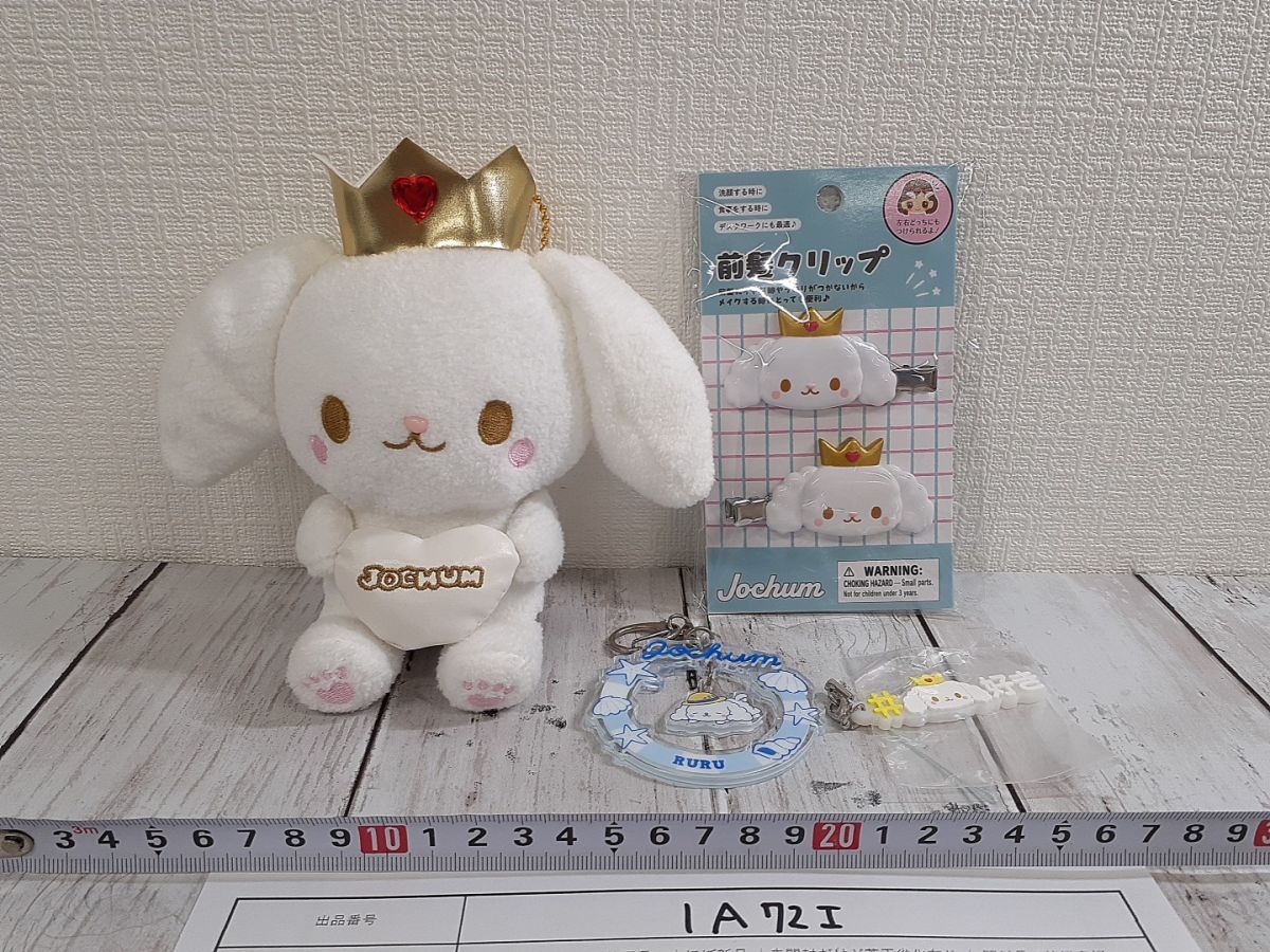 JOCHUM ジェオチャム RURU 白岩瑠姫 トレカホルダー＋前髪クリップ①