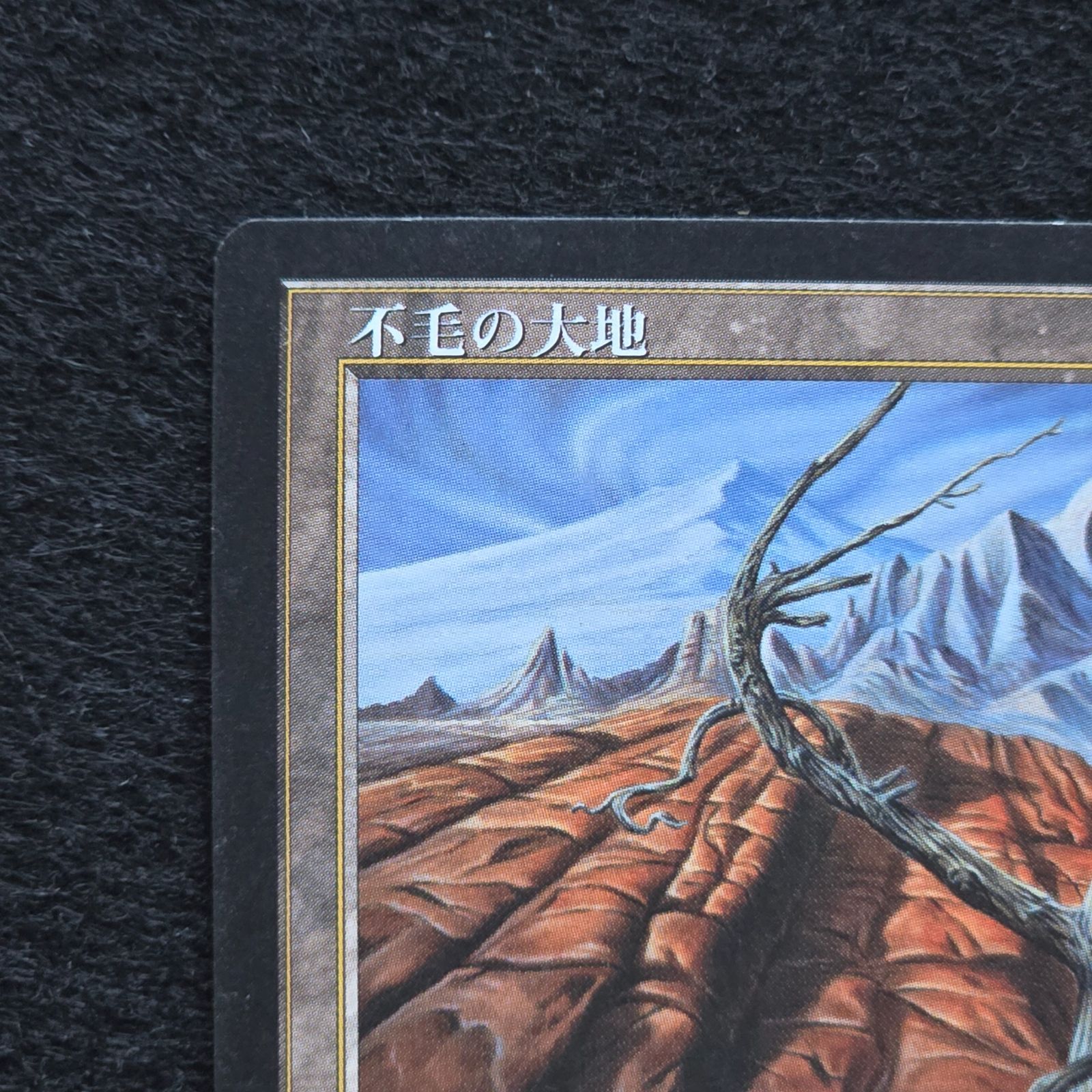 MTG テンペスト 不毛の大地 英語版 MTG 不毛の大地 Wasteland [TMP