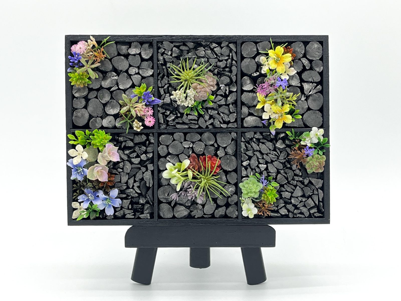 Yolande Saimon-Duval アニマルホームコンサート ネコ・猫 Yolande