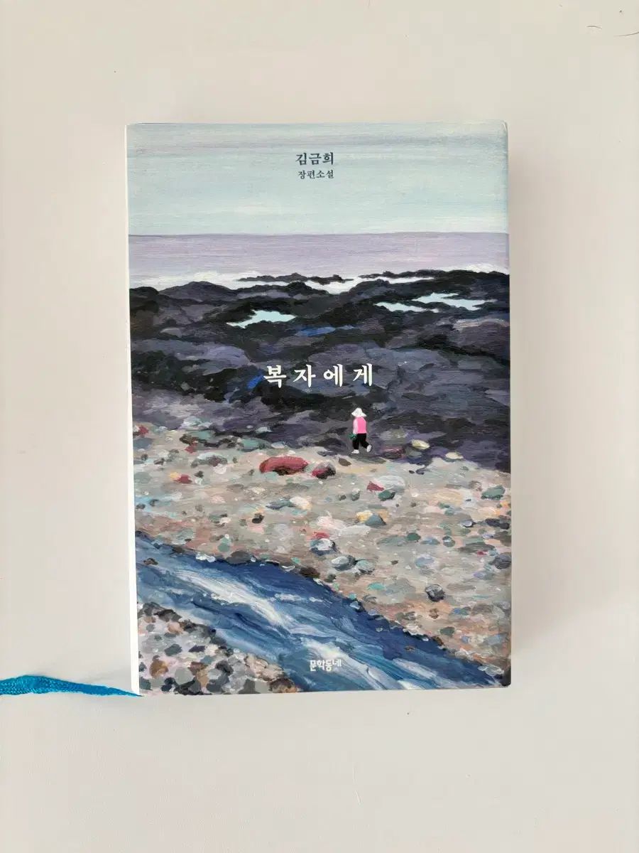 引き取り限定、説明文必読] L革命機ヴァルヴレイヴ（カミツキver.）