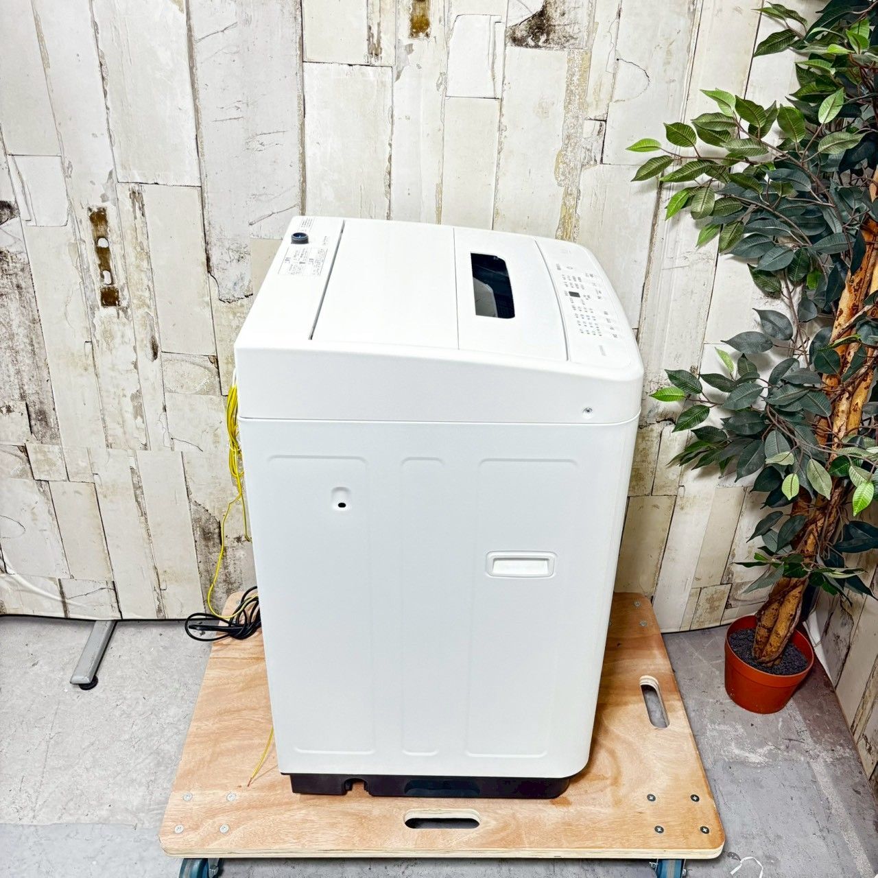 2022年製】IRIS OHYAMA 2024 アイリスオーヤマ IAW-T504 洗濯機 5.0kg