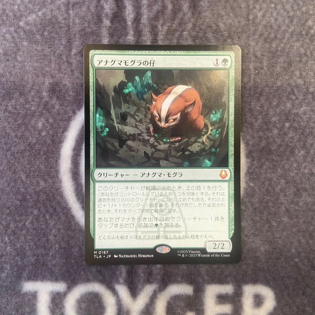 アナグマモグラの仔 日本語 アナグマモグラの仔 MTG 日本語 Foil プレ